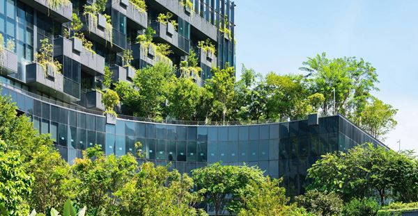 Modern building with vertical Green