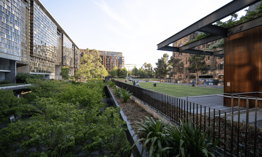 A park scene featuring lush greenery with a building visible in the background.