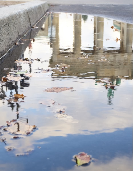 Schwammstadt Berlin Schwammstadt Berlin