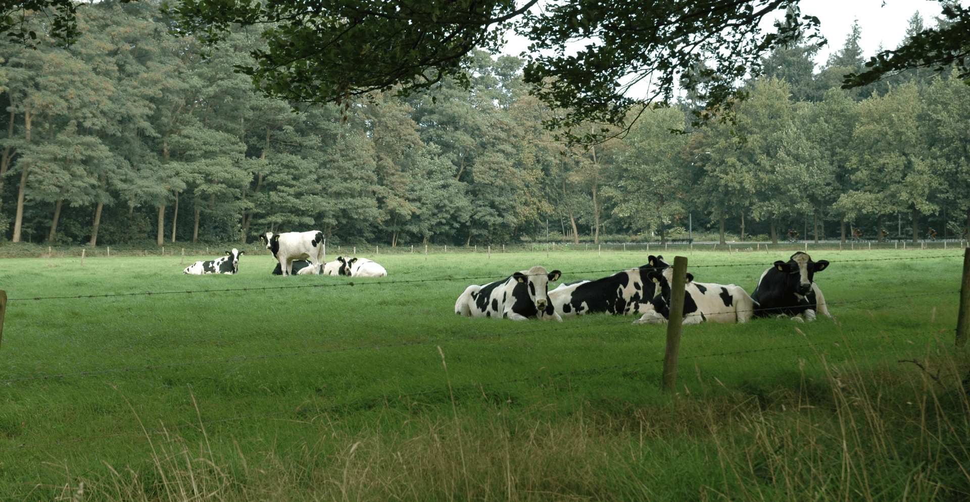 landbouwbedrijf Tilburg Heidepark