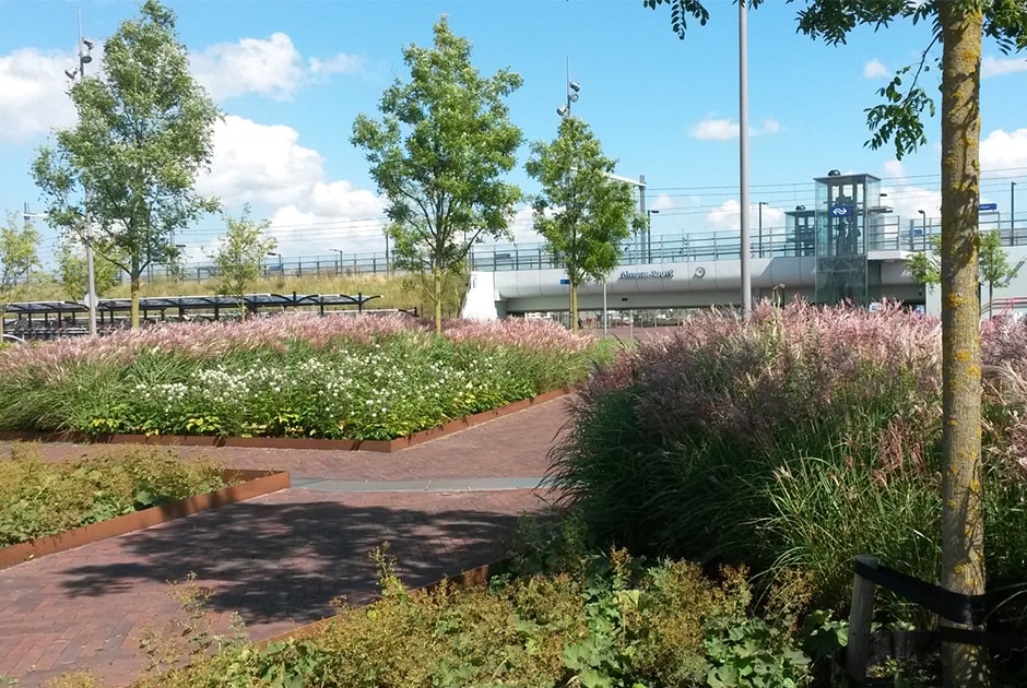 Voortvarend bouwen aan de toekomst