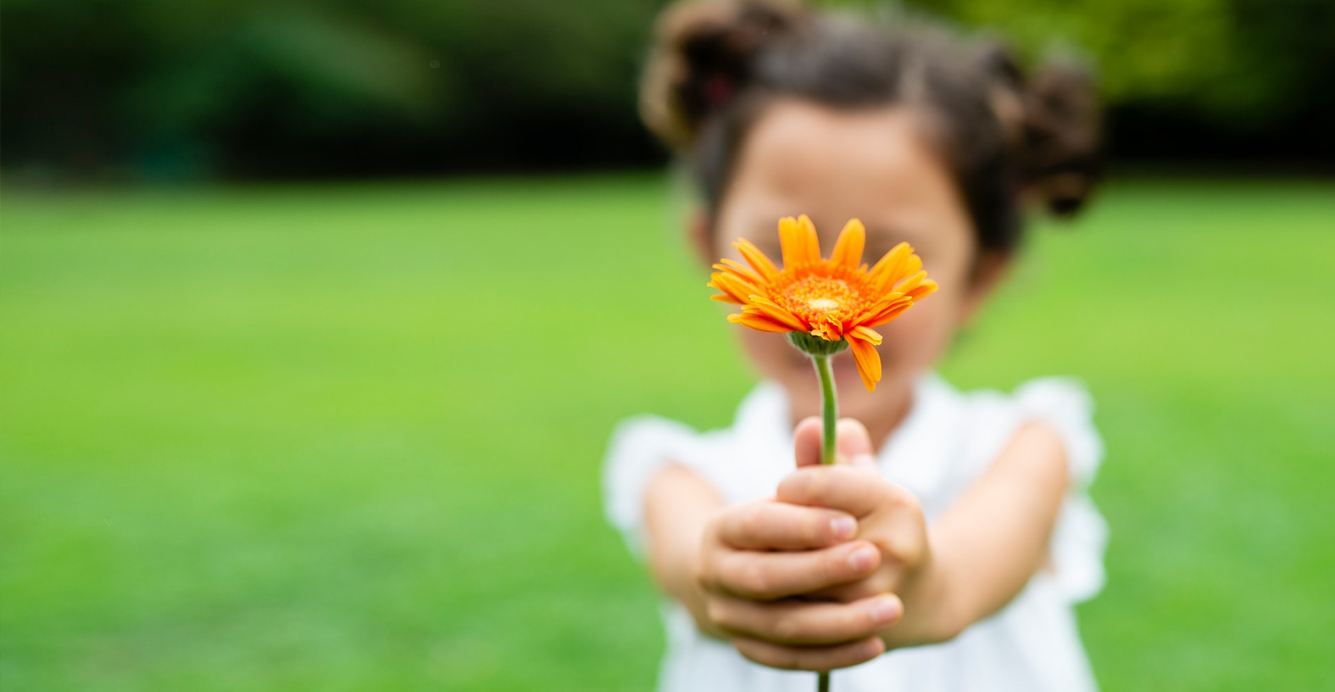 Planting a seed in the minds of young people