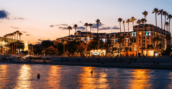 A serene river flowing through lush palm trees, creating a picturesque tropical scene.