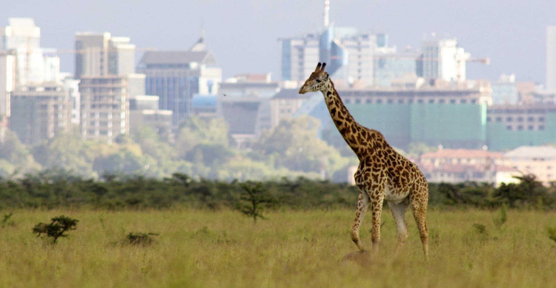 How we promote biodiversity around the world