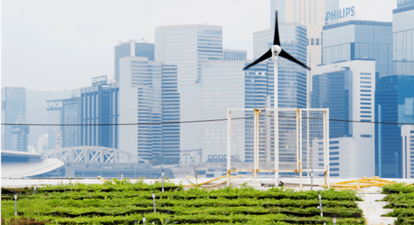 Sustainble green building. Eco-friendly building. Sustainable glass office building with tree for reducing carbon dioxide. Office with green environment. Corporate building reduce CO2