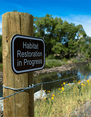 Innovative solutions to restore our environment Innovative solutions to restore our environment