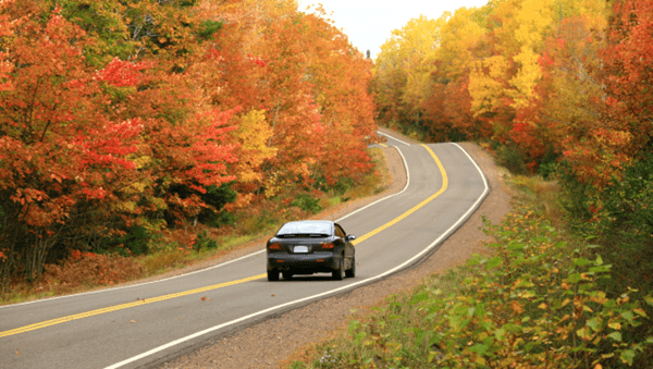 A car driving down a road lined with vibrant, colorful trees.