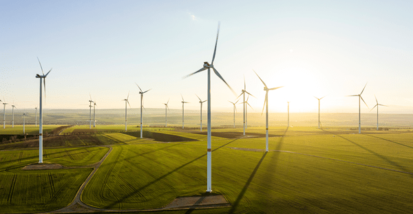 A large expanse of land dotted with multiple wind turbines, harnessing wind energy under a bright sky.