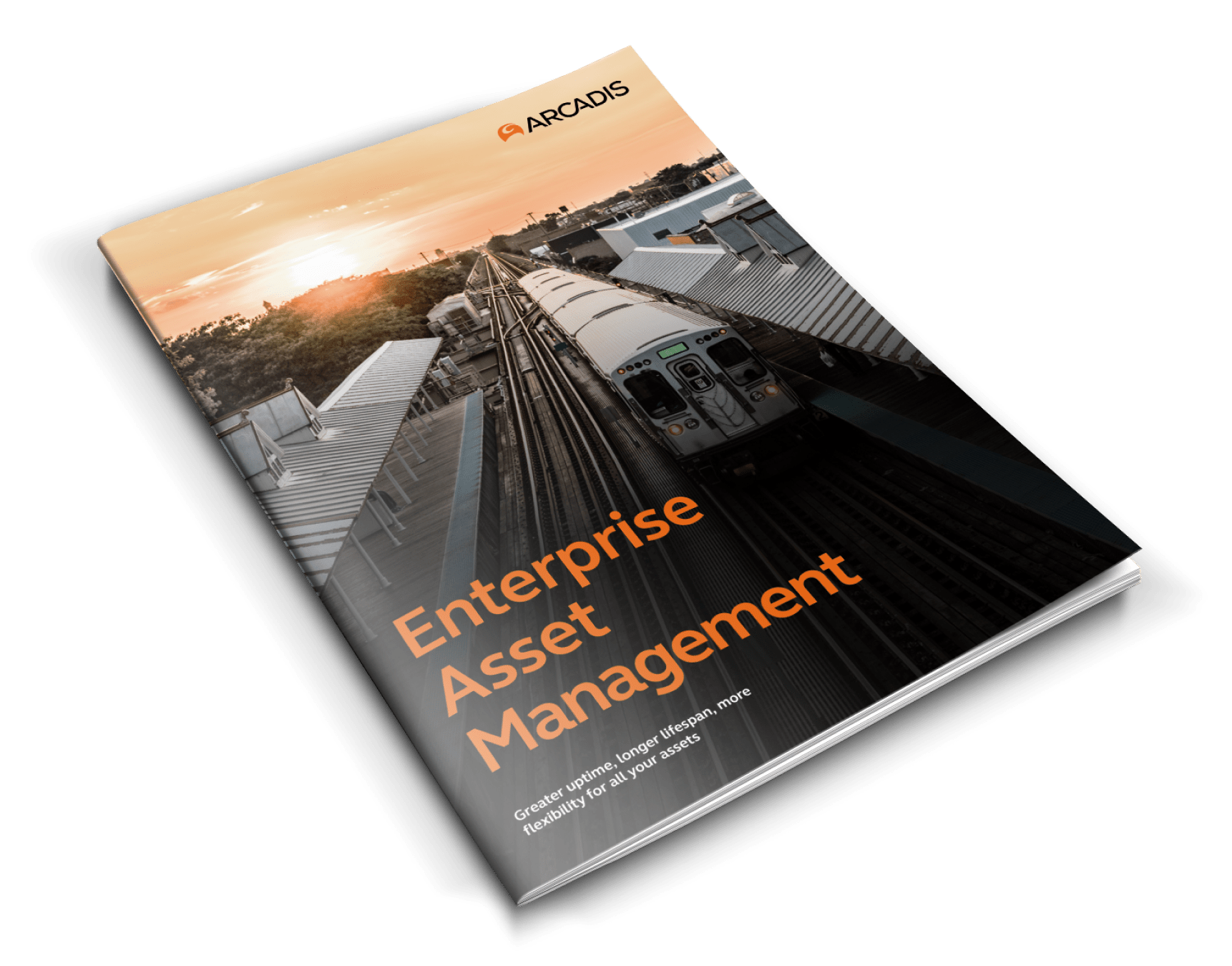 EAM Enterprise Asset Management