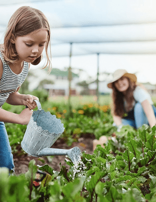 Pfas milieu herstel; meisje geeft planten water met een gieter
