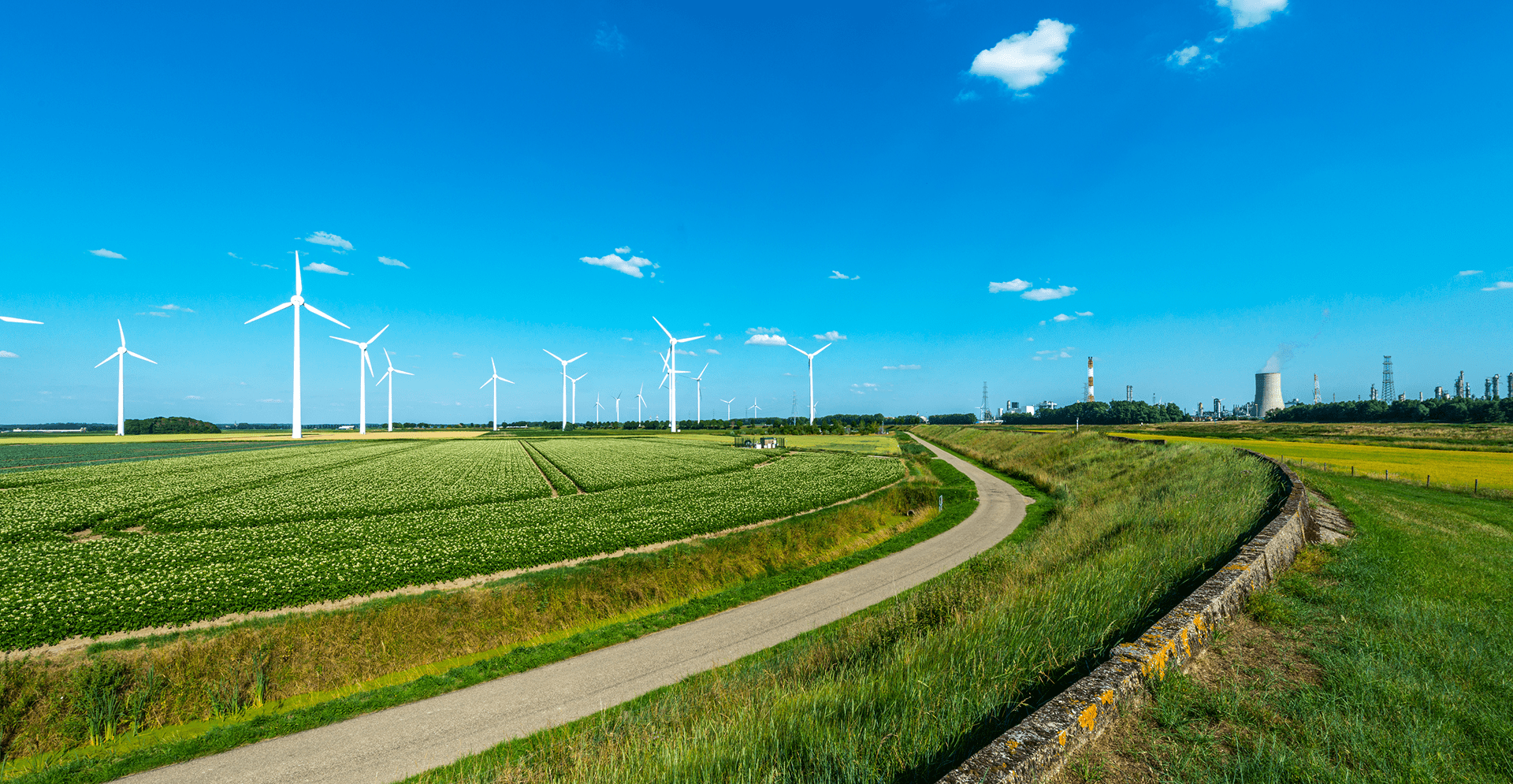 A vibrant green meadow dotted with wind turbines.
