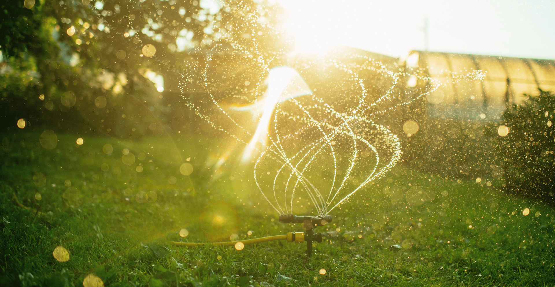 A sprinkler sprays water over a lush, green grassy field under clear blue skies.