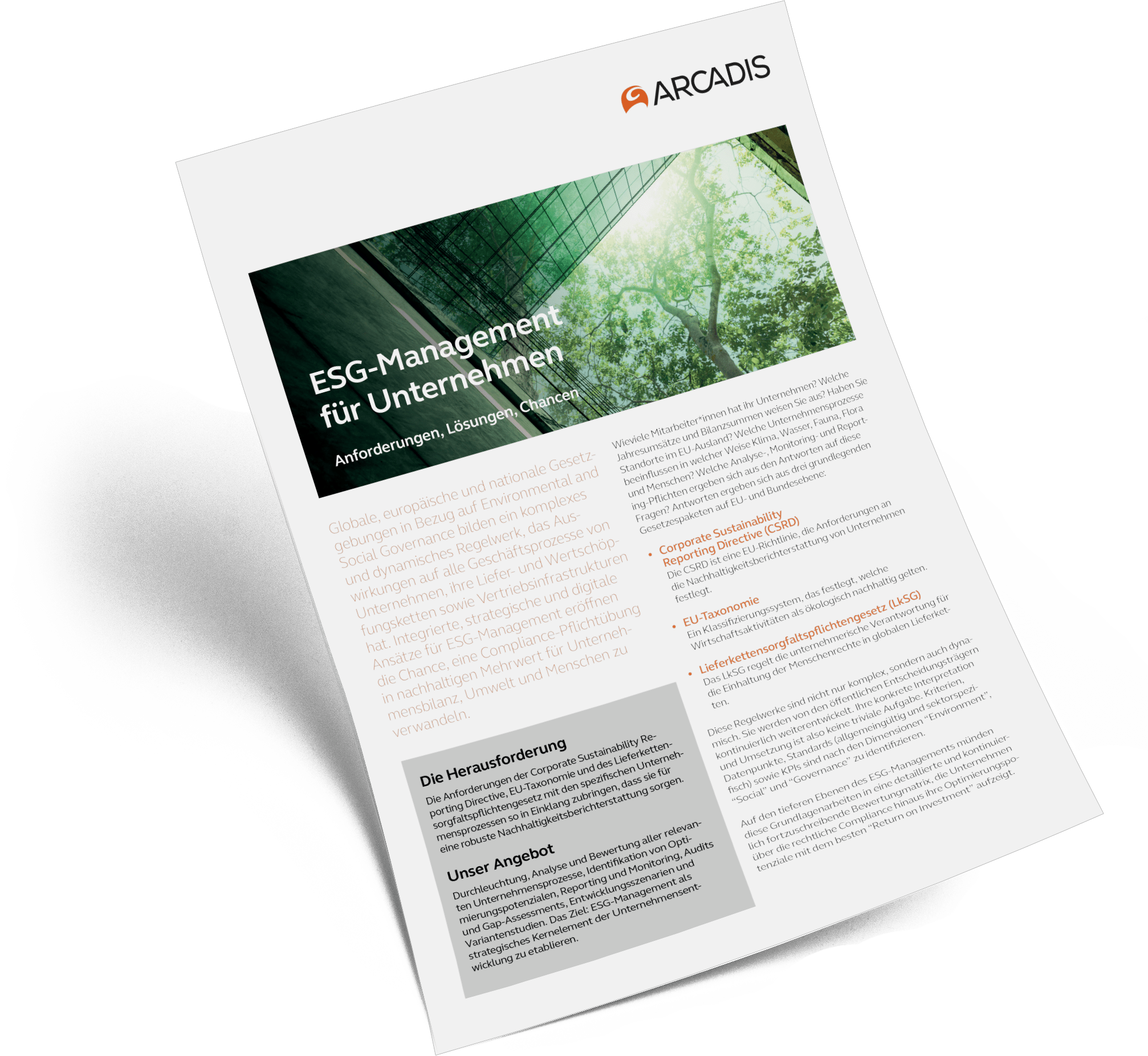 ESG-Management für Unternehmen