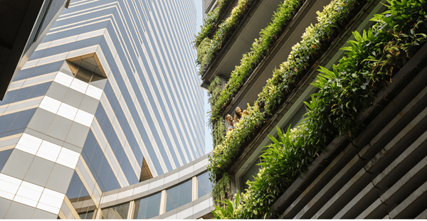A building with a green wall and a tall building standing beside it, creating a striking architectural contrast.