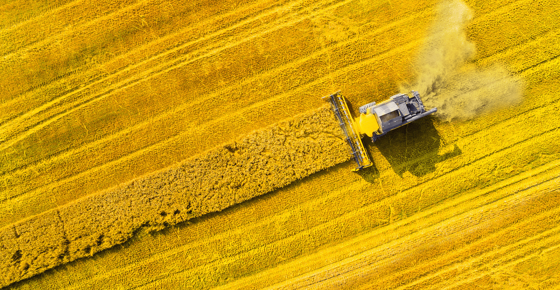 Machinery Risk Assessment