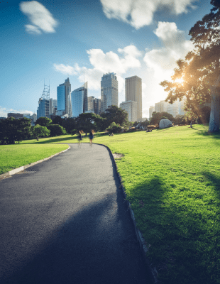 A tranquil park pathway surrounded by lush greenery, with towering buildings visible in the background, blending nature and city life.