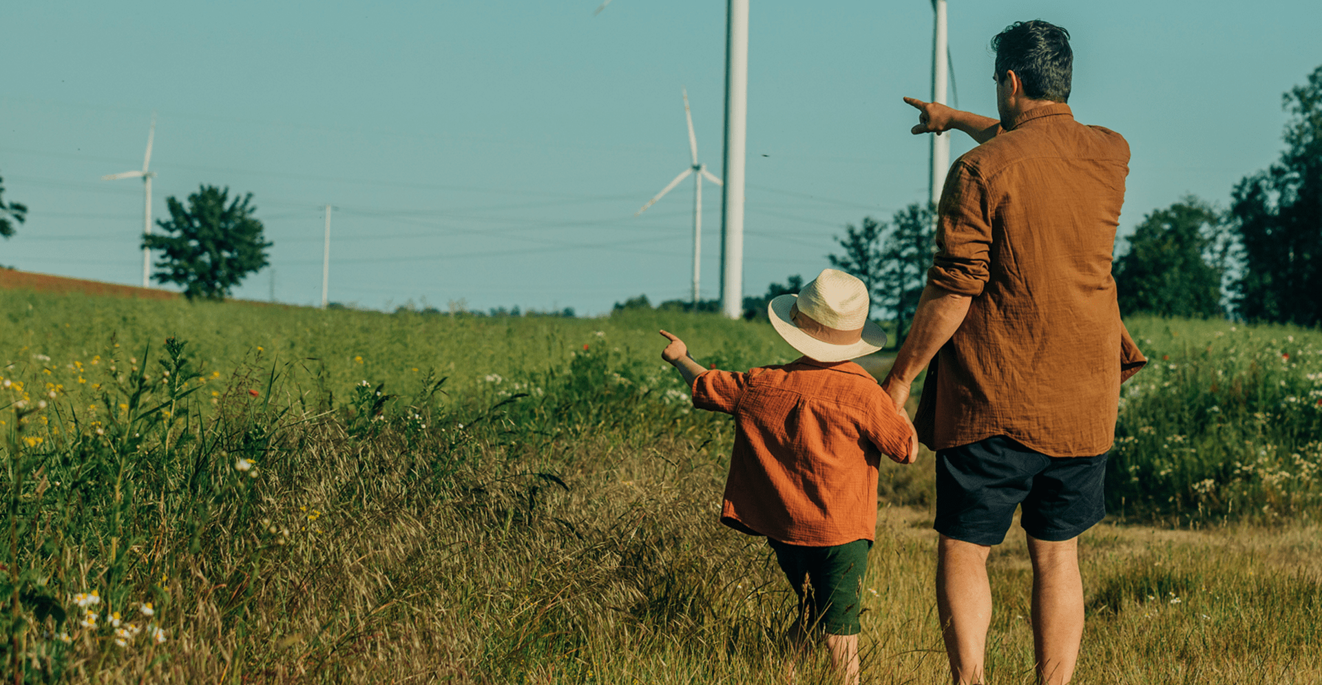 Biodiversiteitspositieve energieprojecten voor Eneco