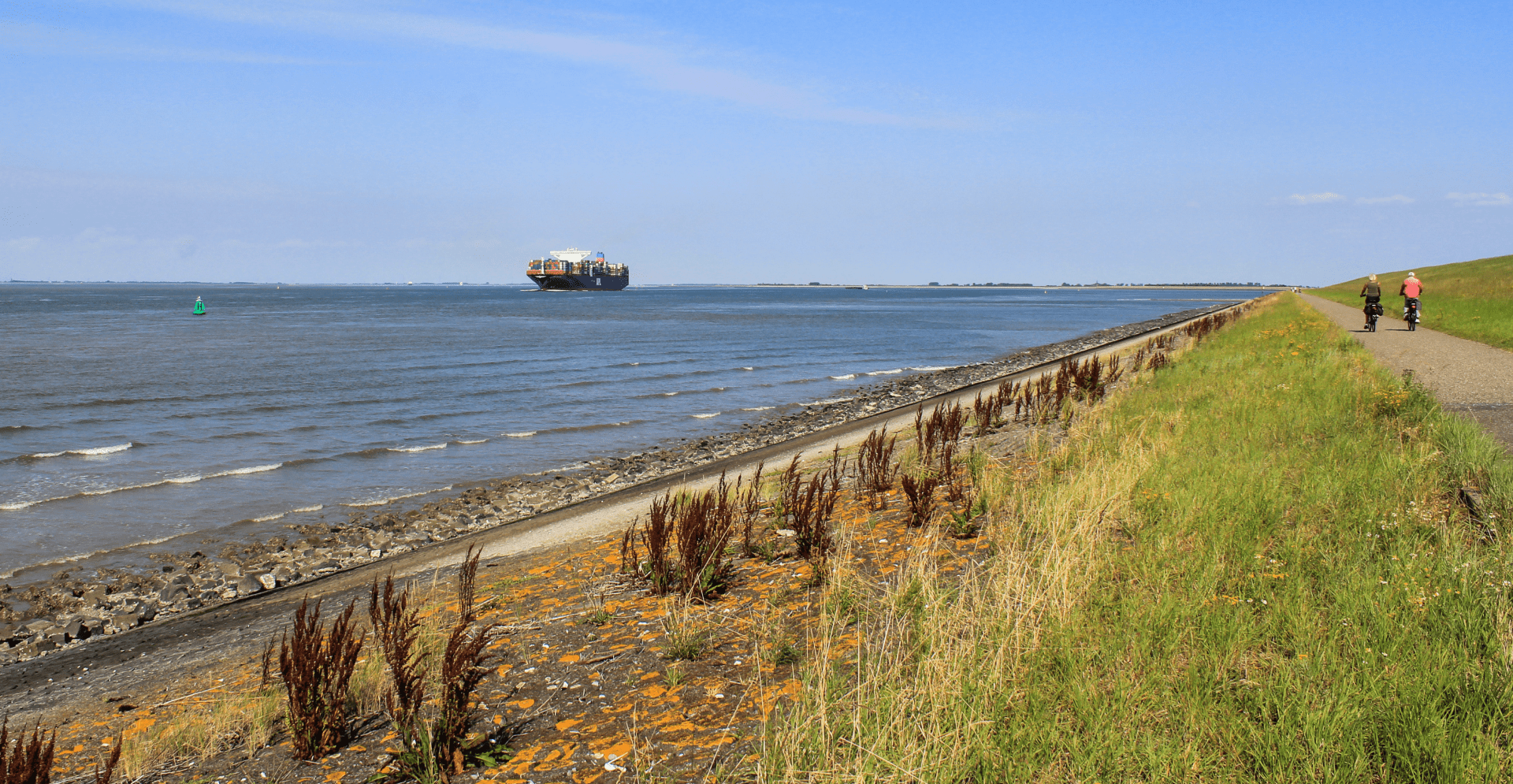 Containerschip in Westerschelde