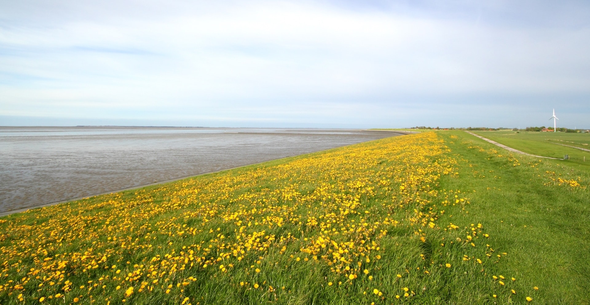 Een veilige dijk mag ook mooi zijn